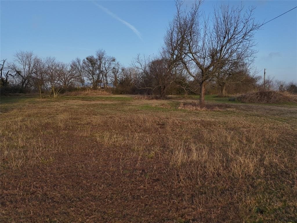 0.8 acres in Fannin County - photo 6