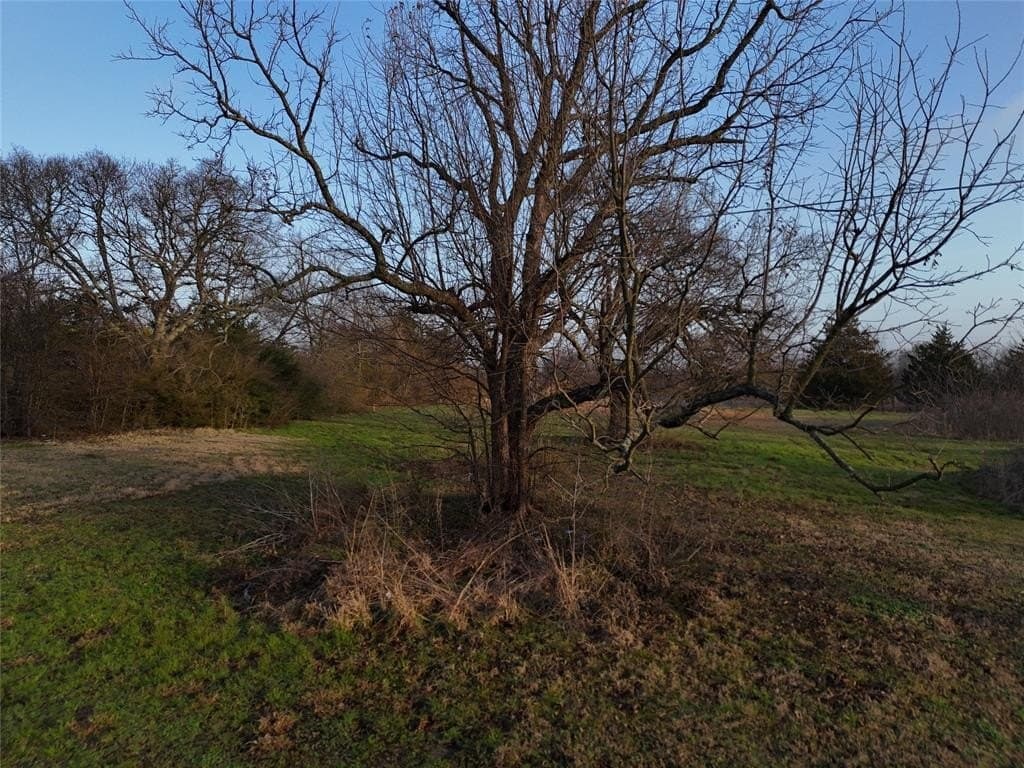 0.8 acres in Fannin County - photo 3