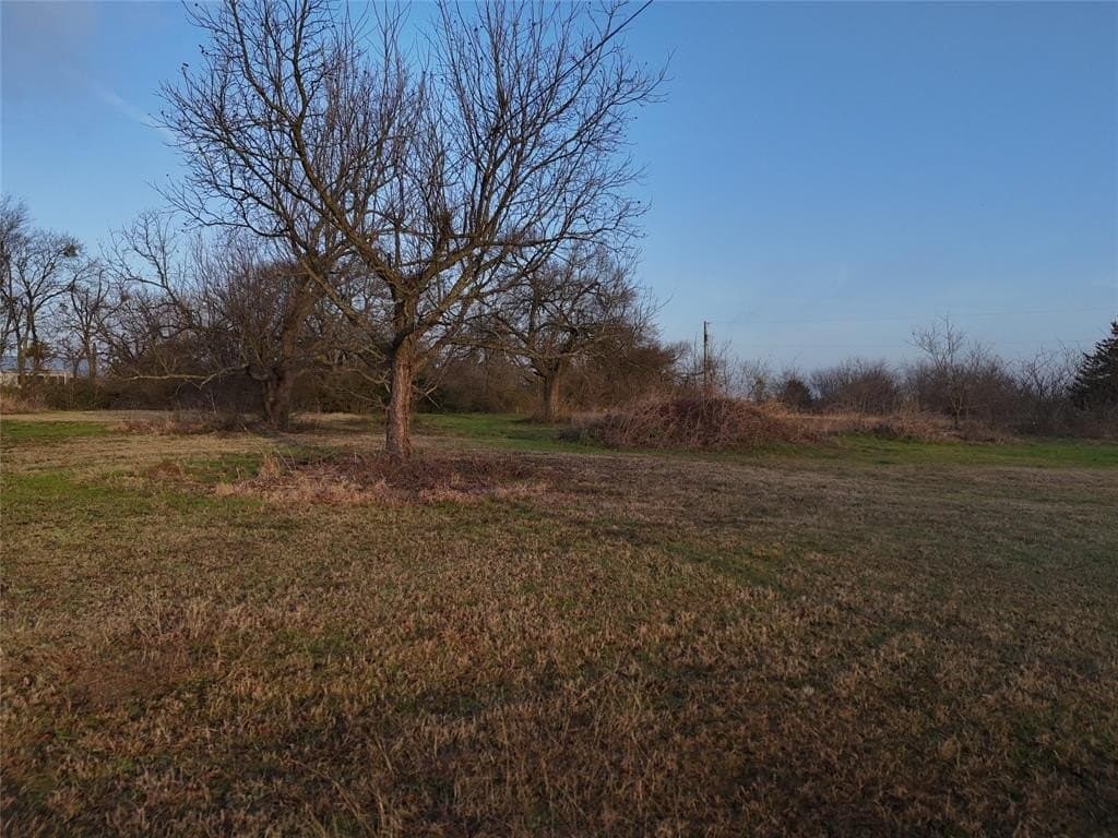 0.8 acres in Fannin County - photo 4
