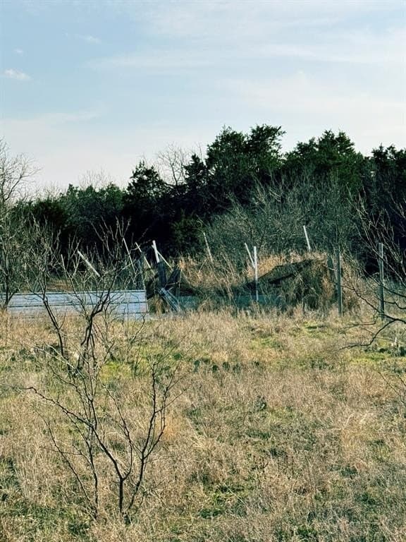 40.18 acres in Erath County - photo 5