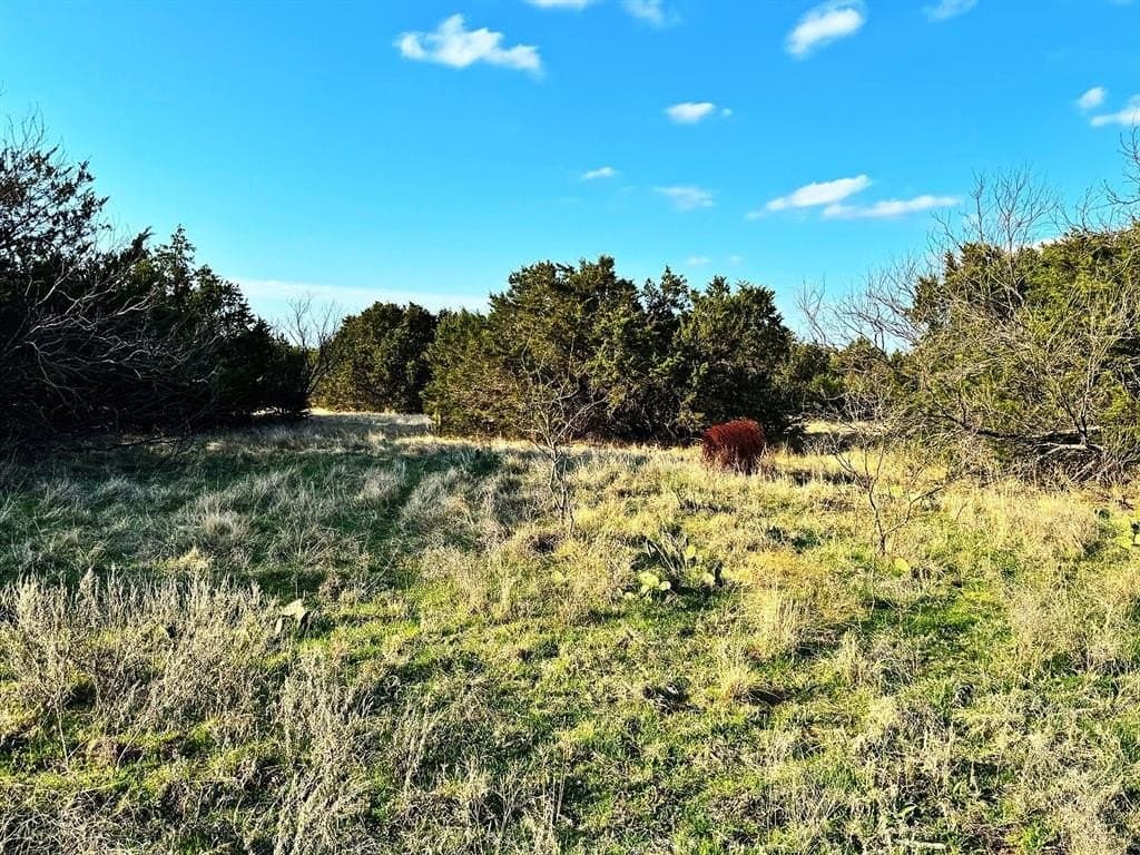 40.18 acres in Erath County - photo 6