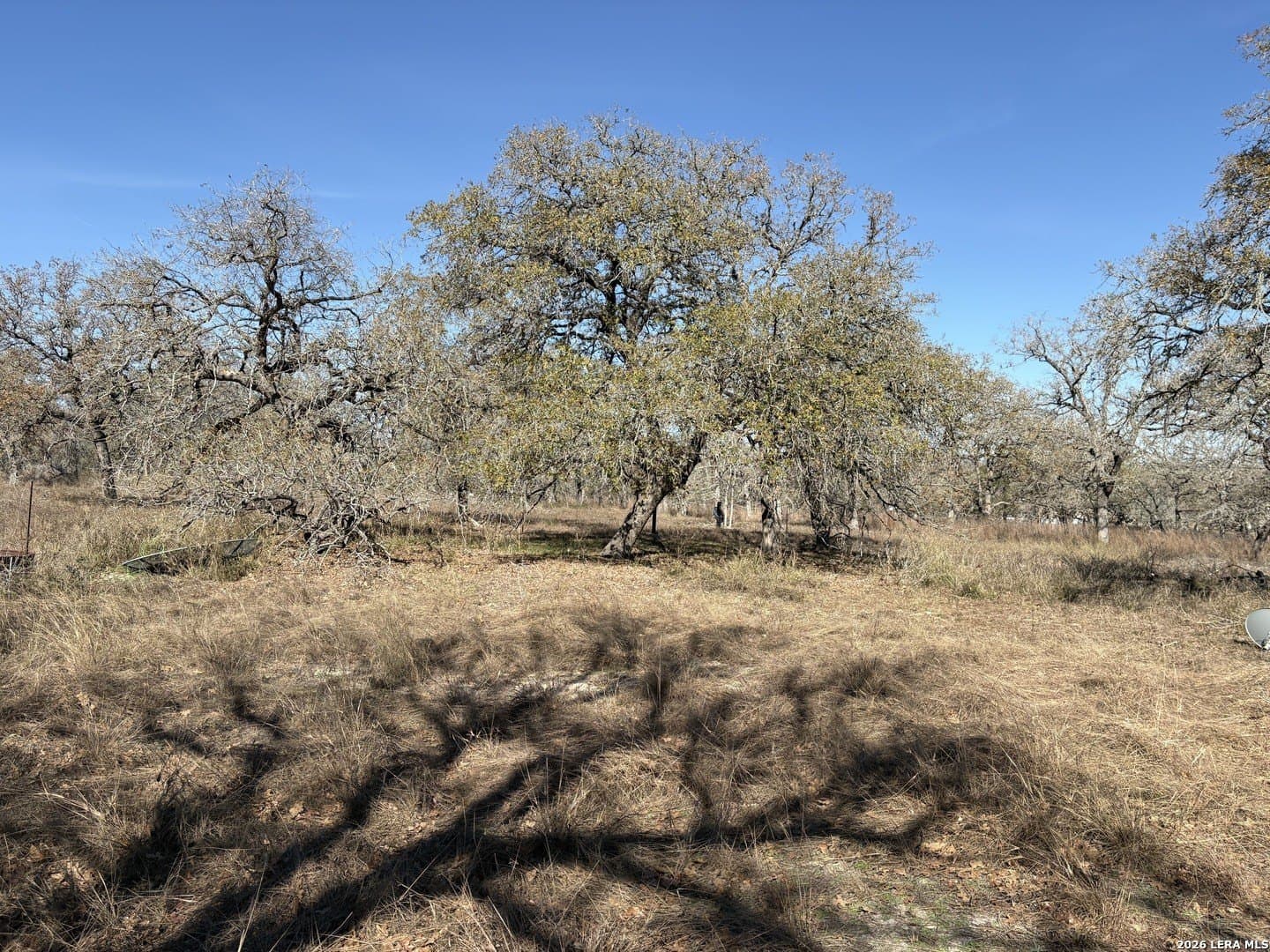 4 acres in Wilson County - photo 7