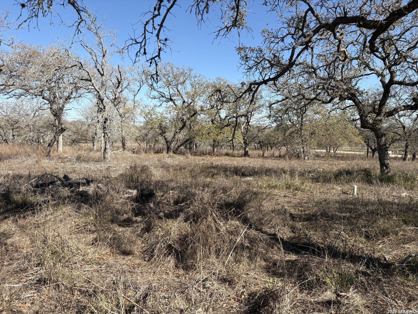 4 acres in Wilson County - photo 10