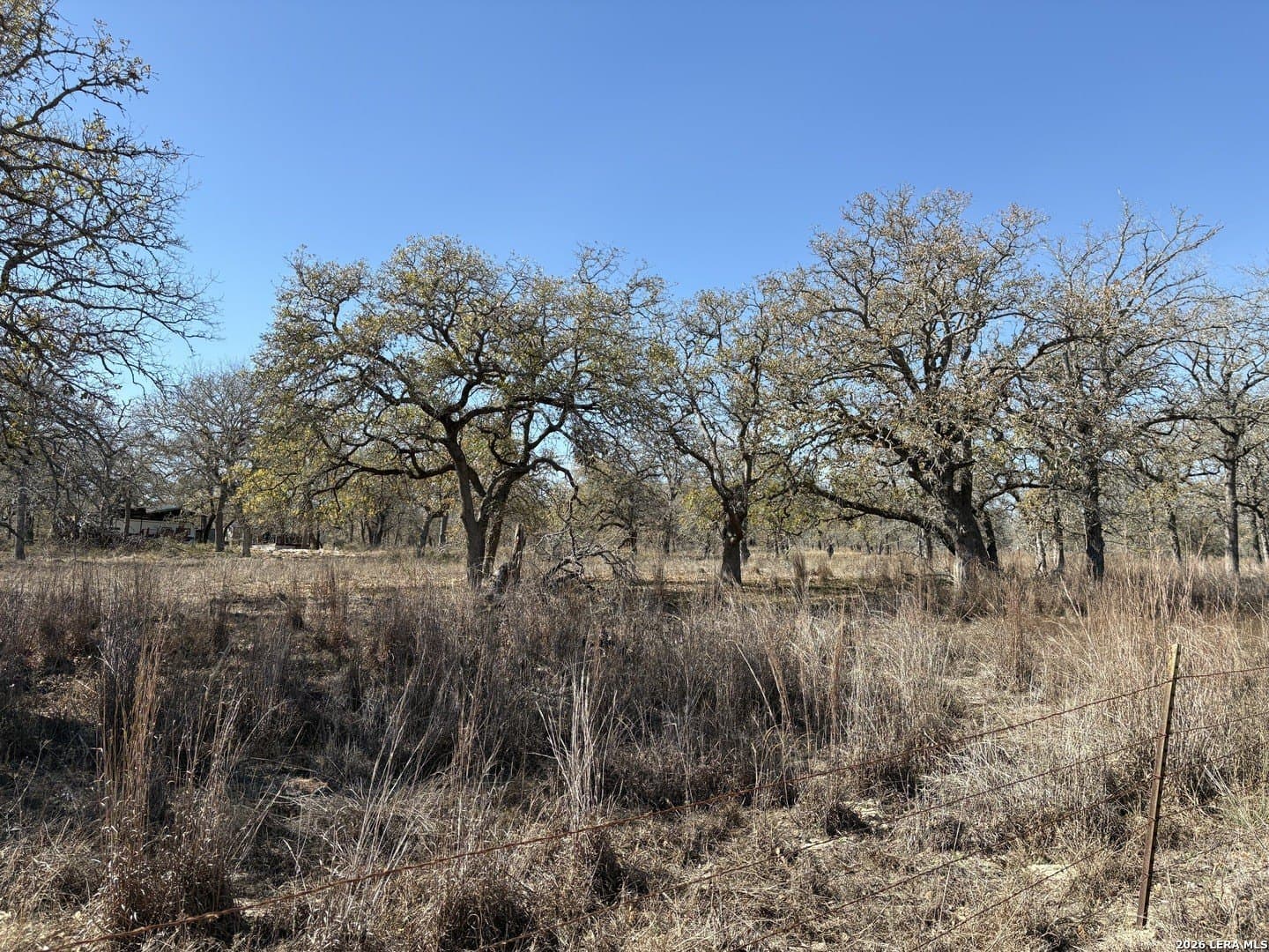 4 acres in Wilson County - photo 3