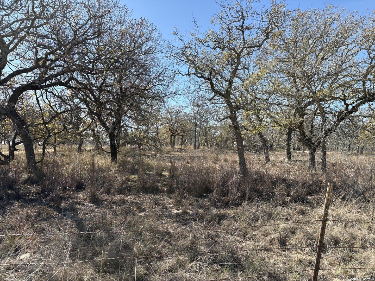 4 acres in Wilson County - photo 6