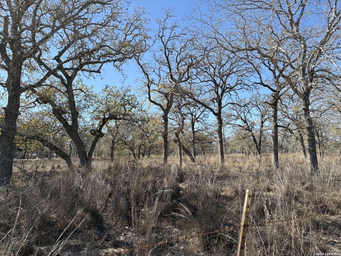 4 acres in Wilson County - photo 4