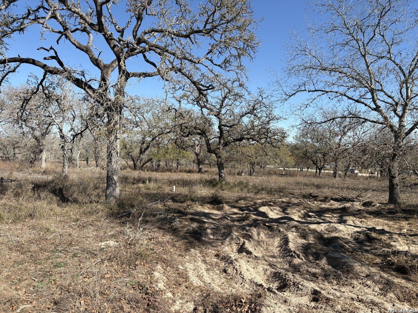 4 acres in Wilson County - photo 9