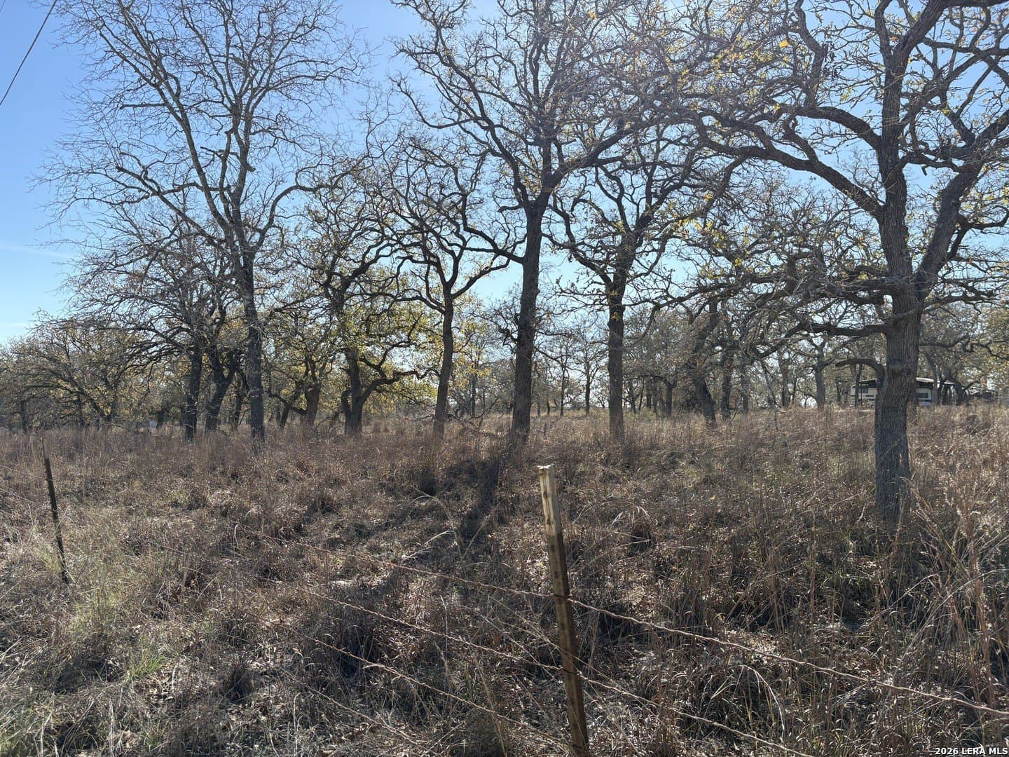 4 acres in Wilson County - photo 2