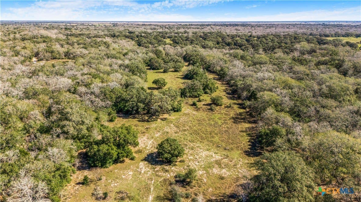 188.82 acres in Victoria County - photo 14