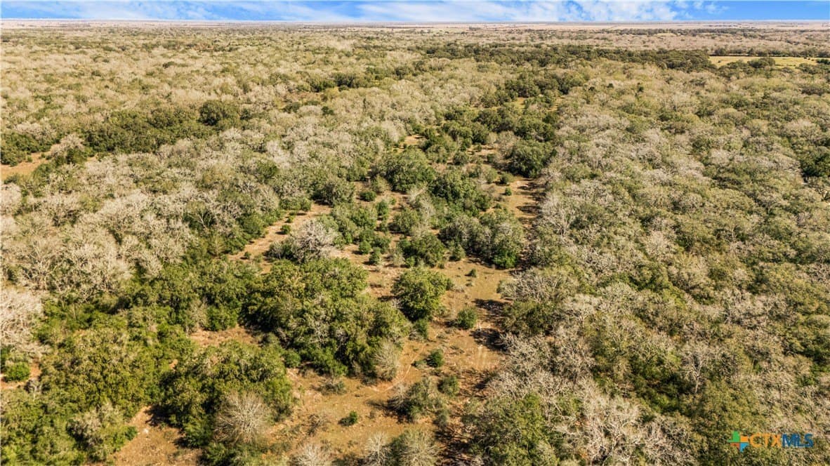 188.82 acres in Victoria County - photo 22