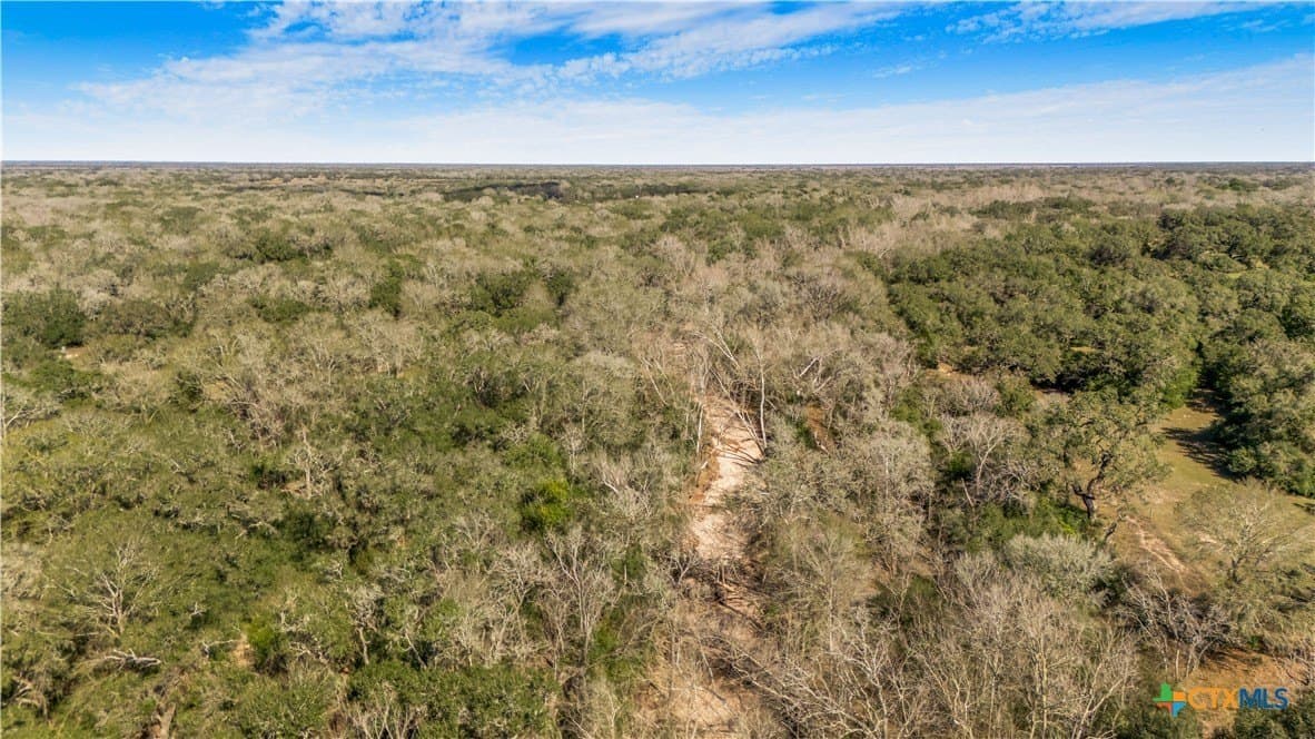 188.82 acres in Victoria County - photo 9