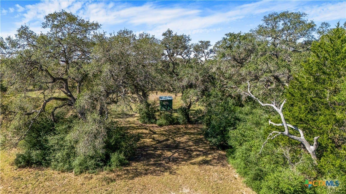 188.82 acres in Victoria County - photo 11