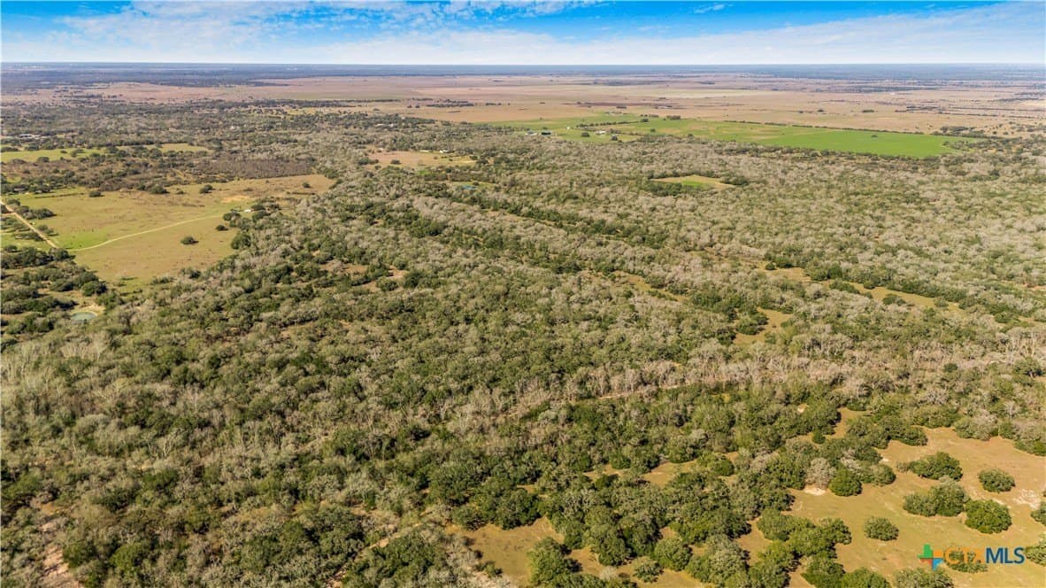 188.82 acres in Victoria County - photo 3