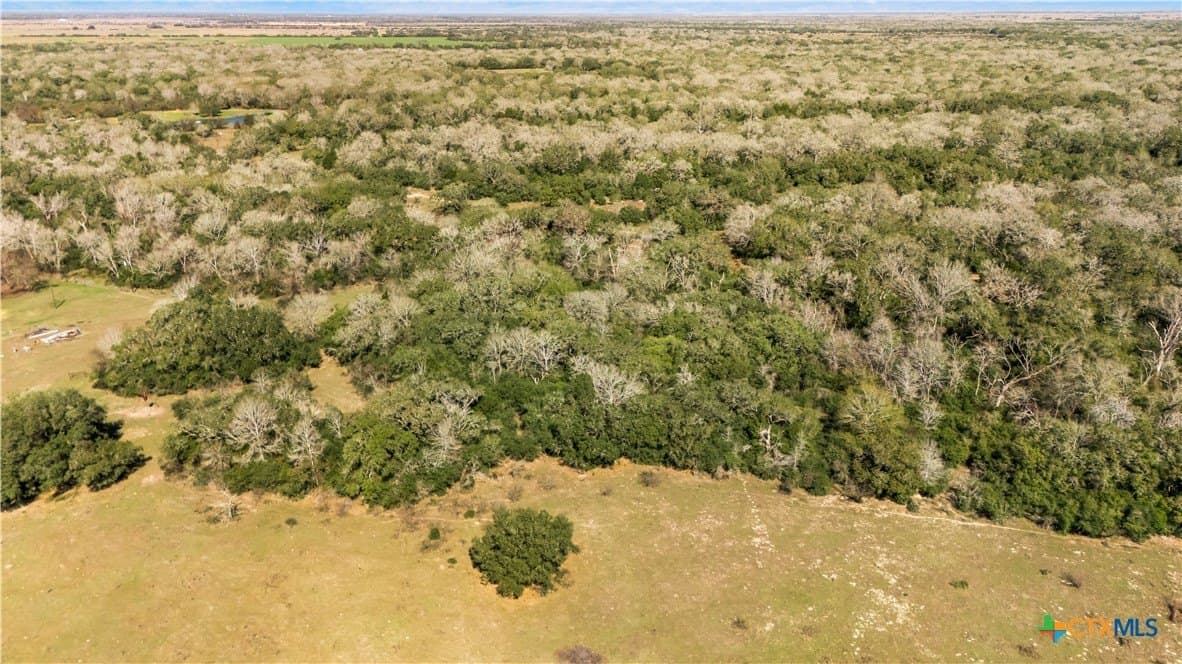 188.82 acres in Victoria County - photo 21