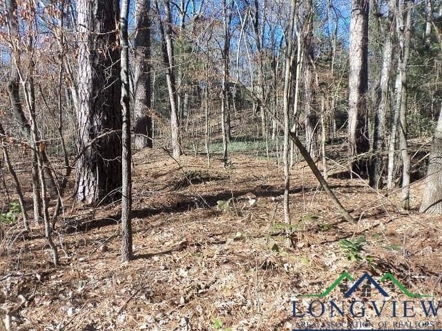 0.72 acres in Gregg County - photo 3