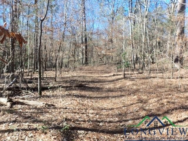 0.72 acres in Gregg County - photo 4