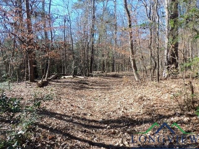 0.72 acres in Gregg County - photo 2