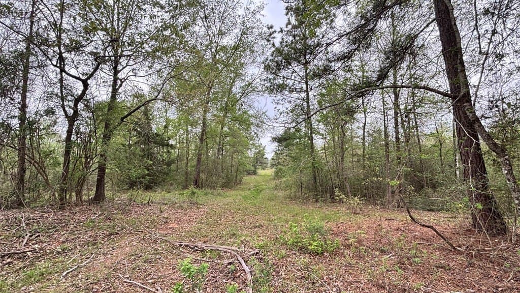 10.23 acres in Texas County - photo 7