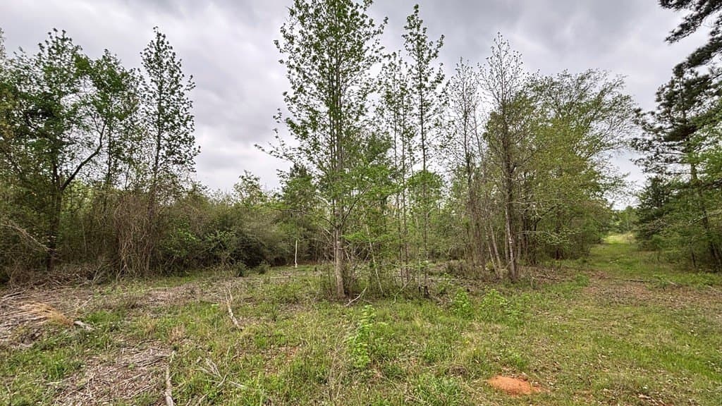 10.23 acres in Texas County - photo 4