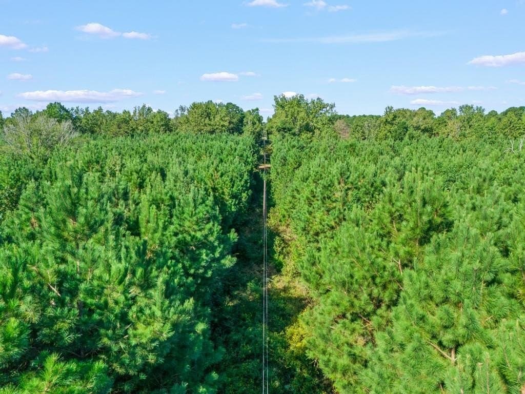 12.53 acres in Upshur County - photo 8