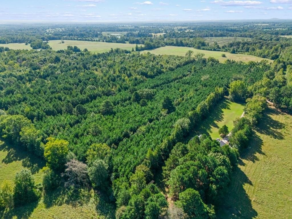 12.53 acres in Upshur County - photo 11