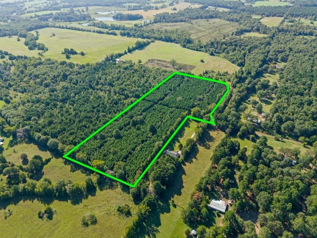 12.53 acres in Upshur County - photo 19