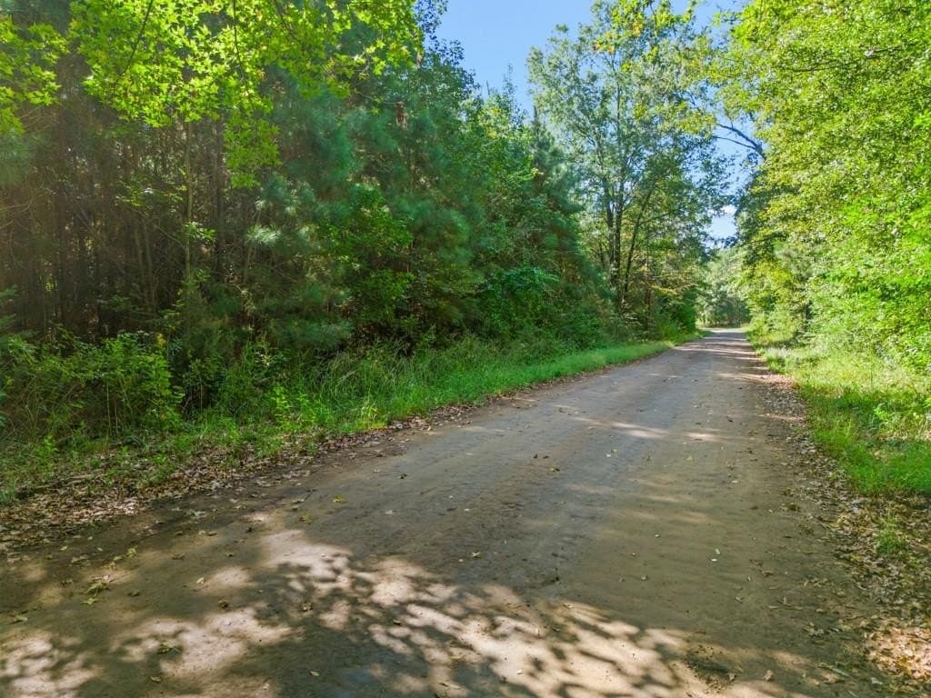 12.53 acres in Upshur County - photo 3