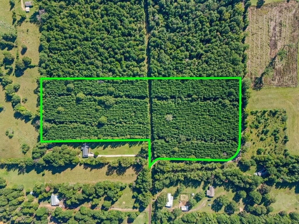 12.53 acres in Upshur County - photo 20