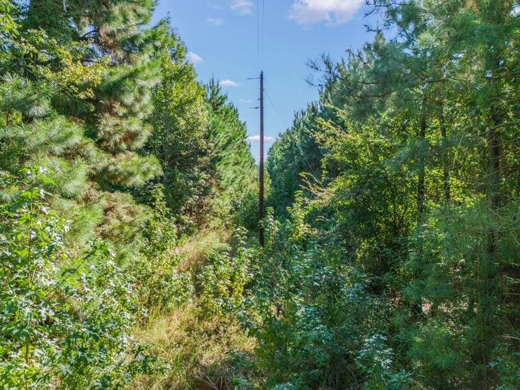 12.53 acres in Upshur County - photo 10