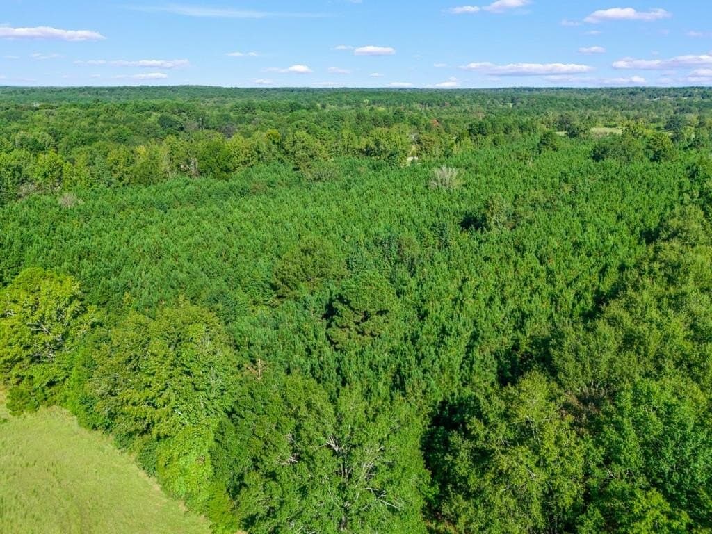 12.53 acres in Upshur County - photo 7