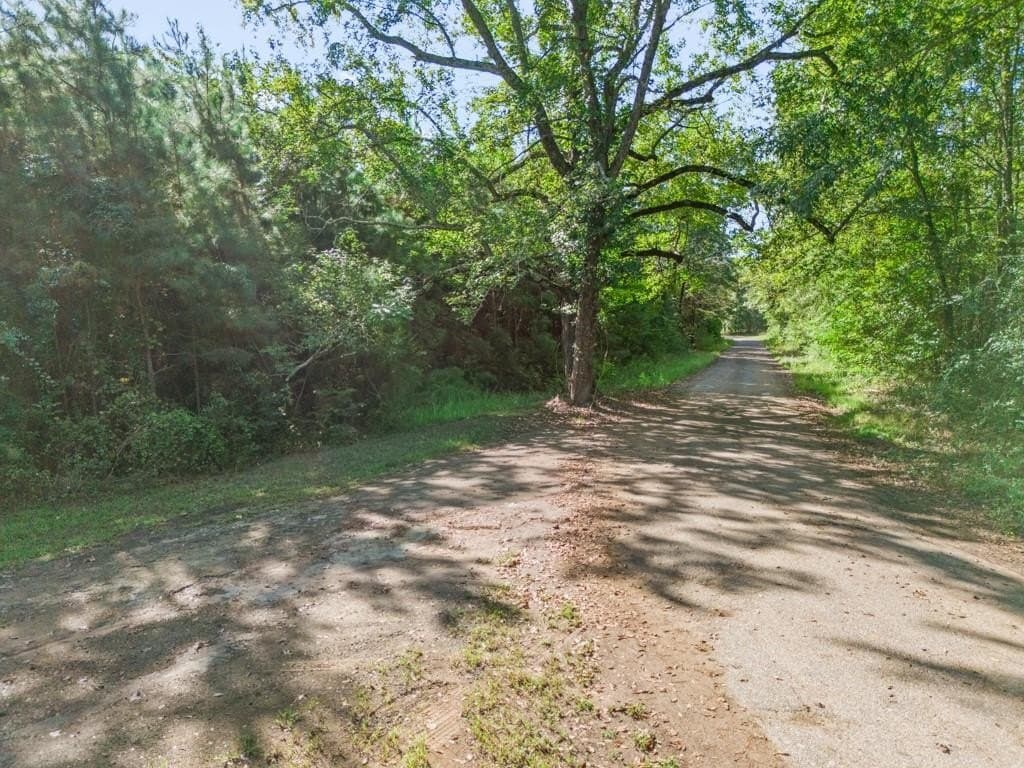 12.53 acres in Upshur County - photo 4