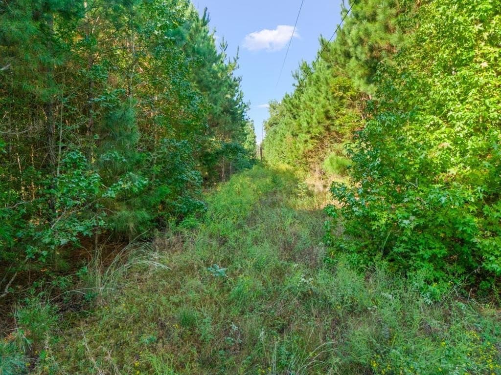 12.53 acres in Upshur County - photo 9