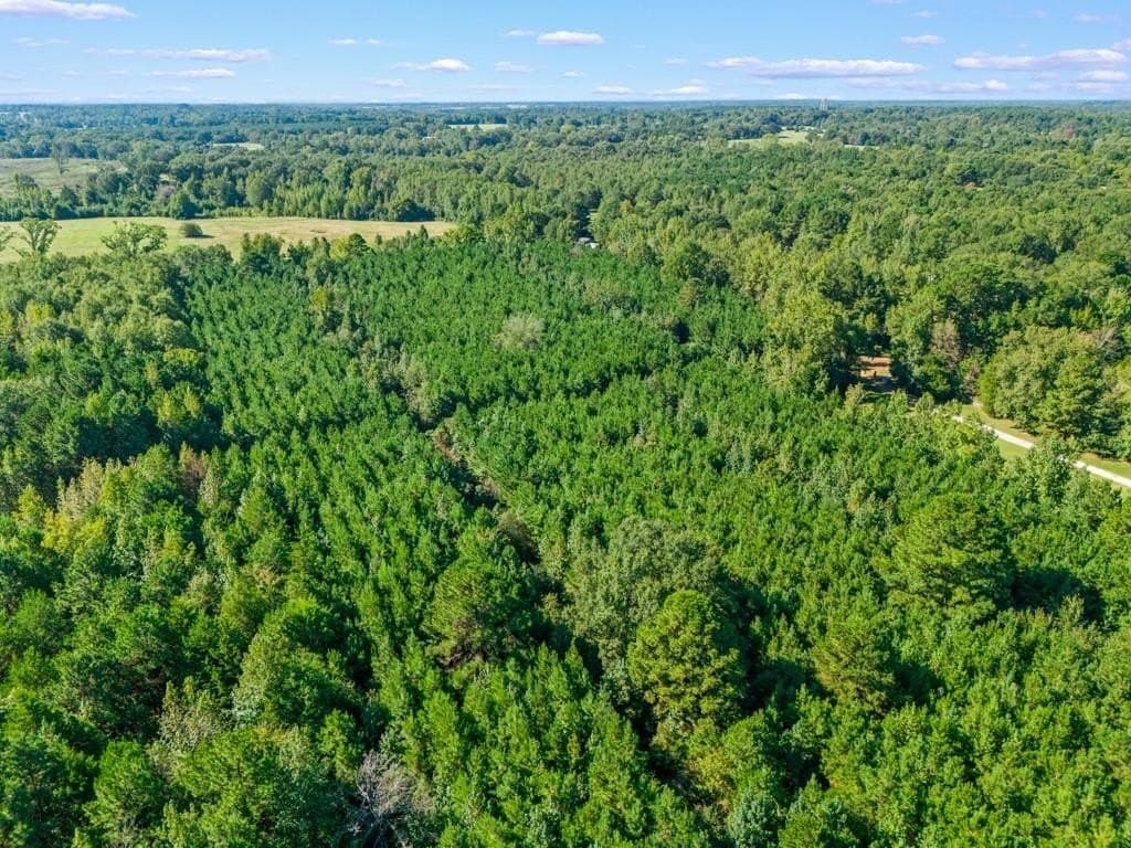 12.53 acres in Upshur County - photo 12