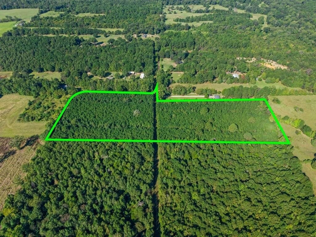 12.53 acres in Upshur County - photo 16
