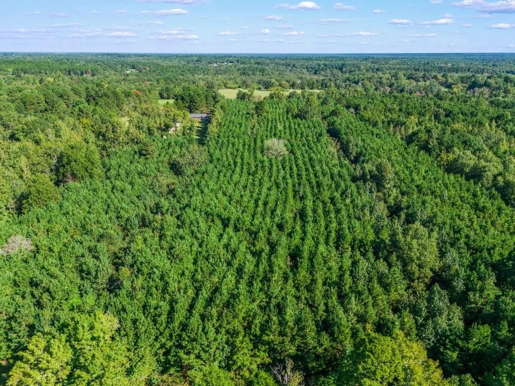 12.53 acres in Upshur County - photo 21