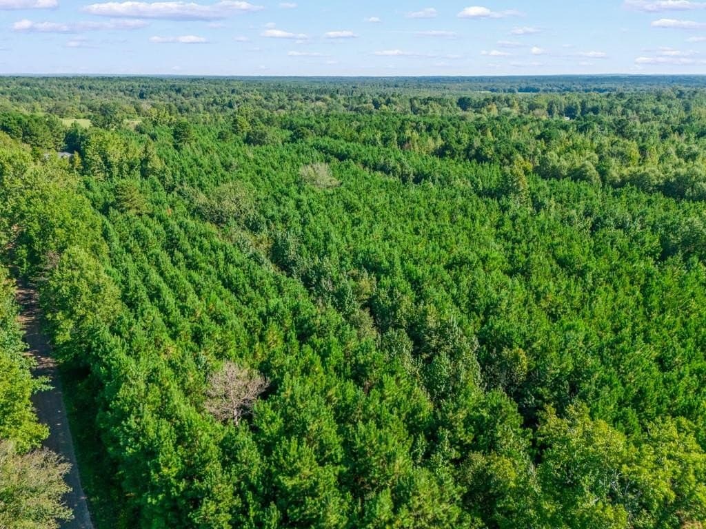 12.53 acres in Upshur County - photo 22
