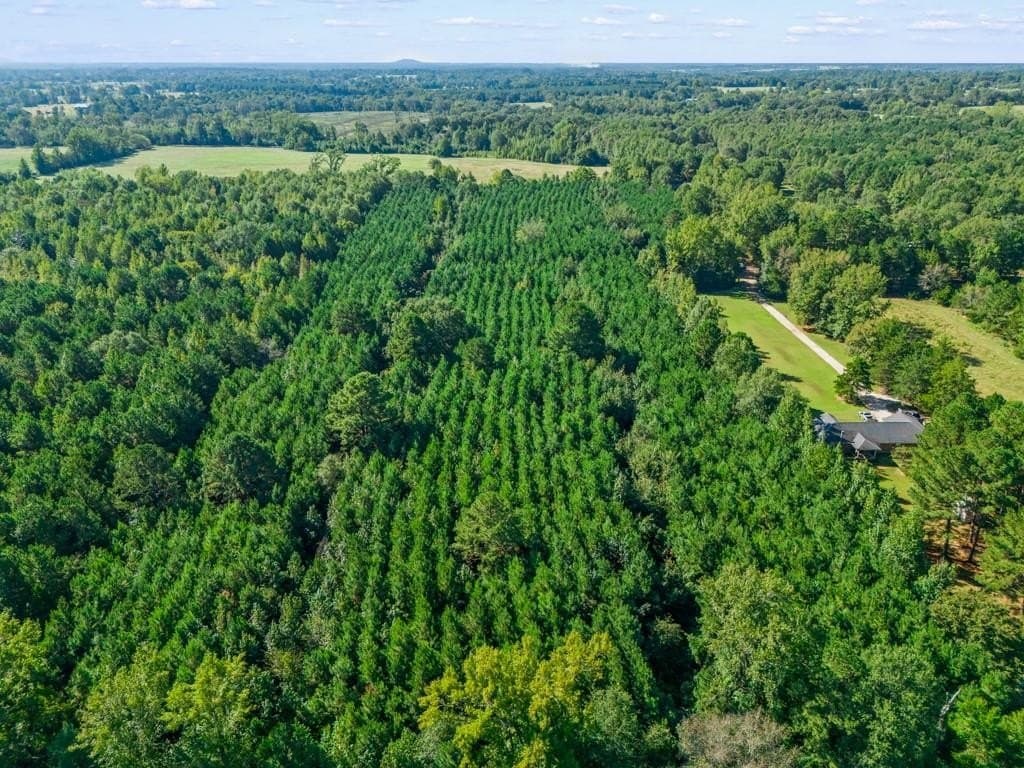 12.53 acres in Upshur County - photo 6
