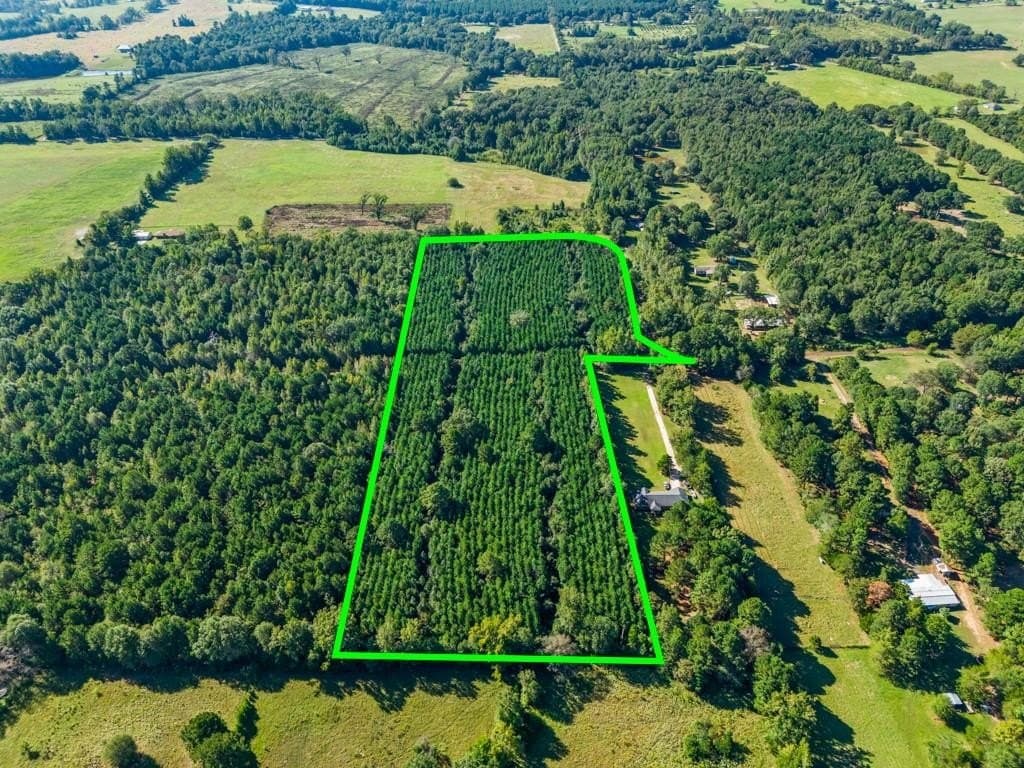 12.53 acres in Upshur County - photo 18