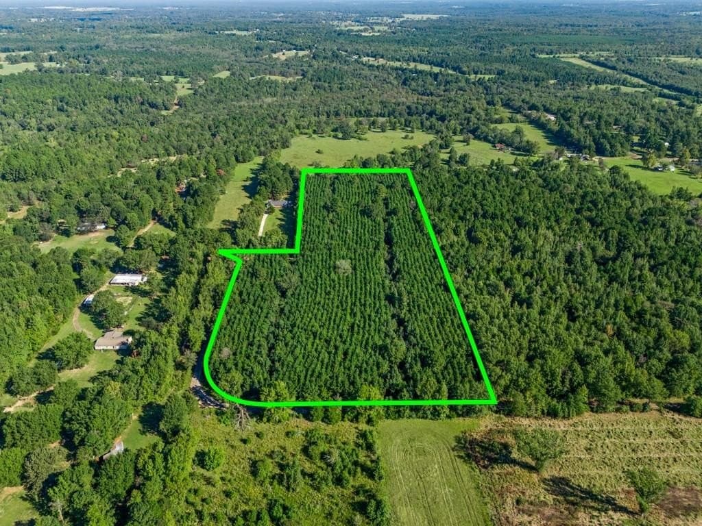 12.53 acres in Upshur County - photo 14