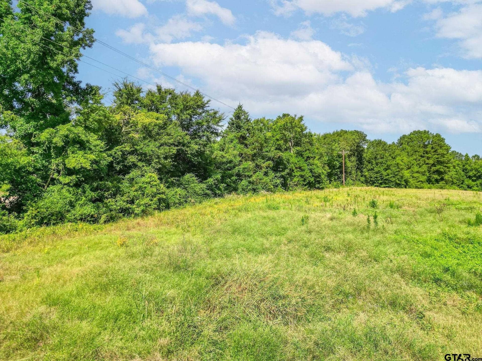 95.52 acres in Upshur County - photo 19