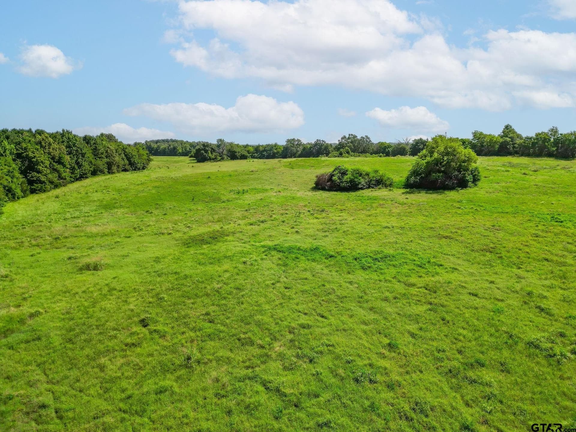 95.52 acres in Upshur County - photo 15