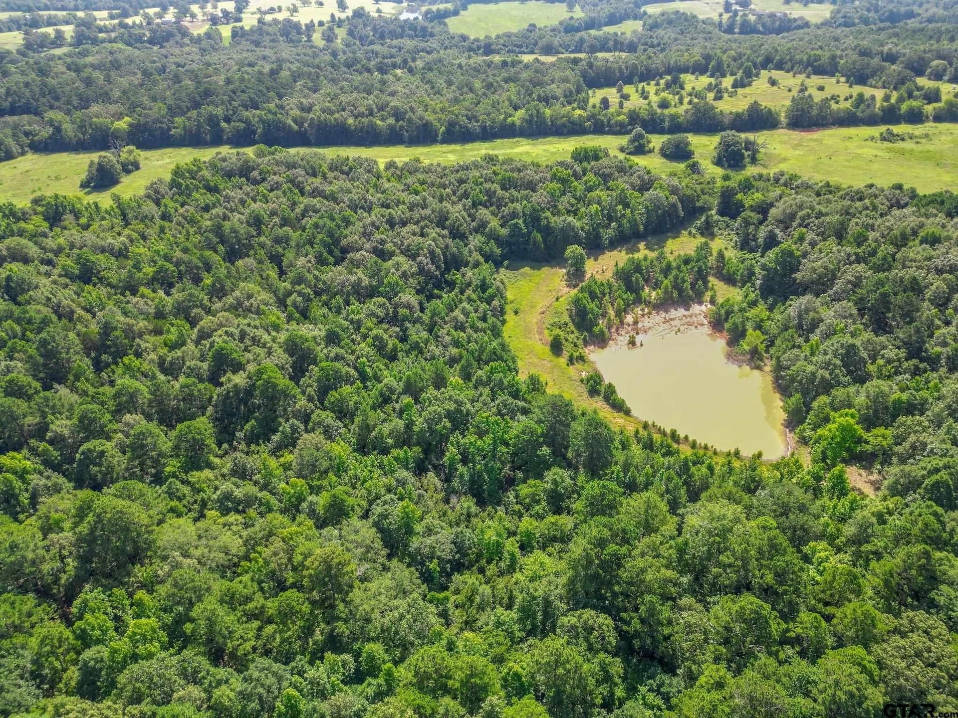 95.52 acres in Upshur County - photo 6