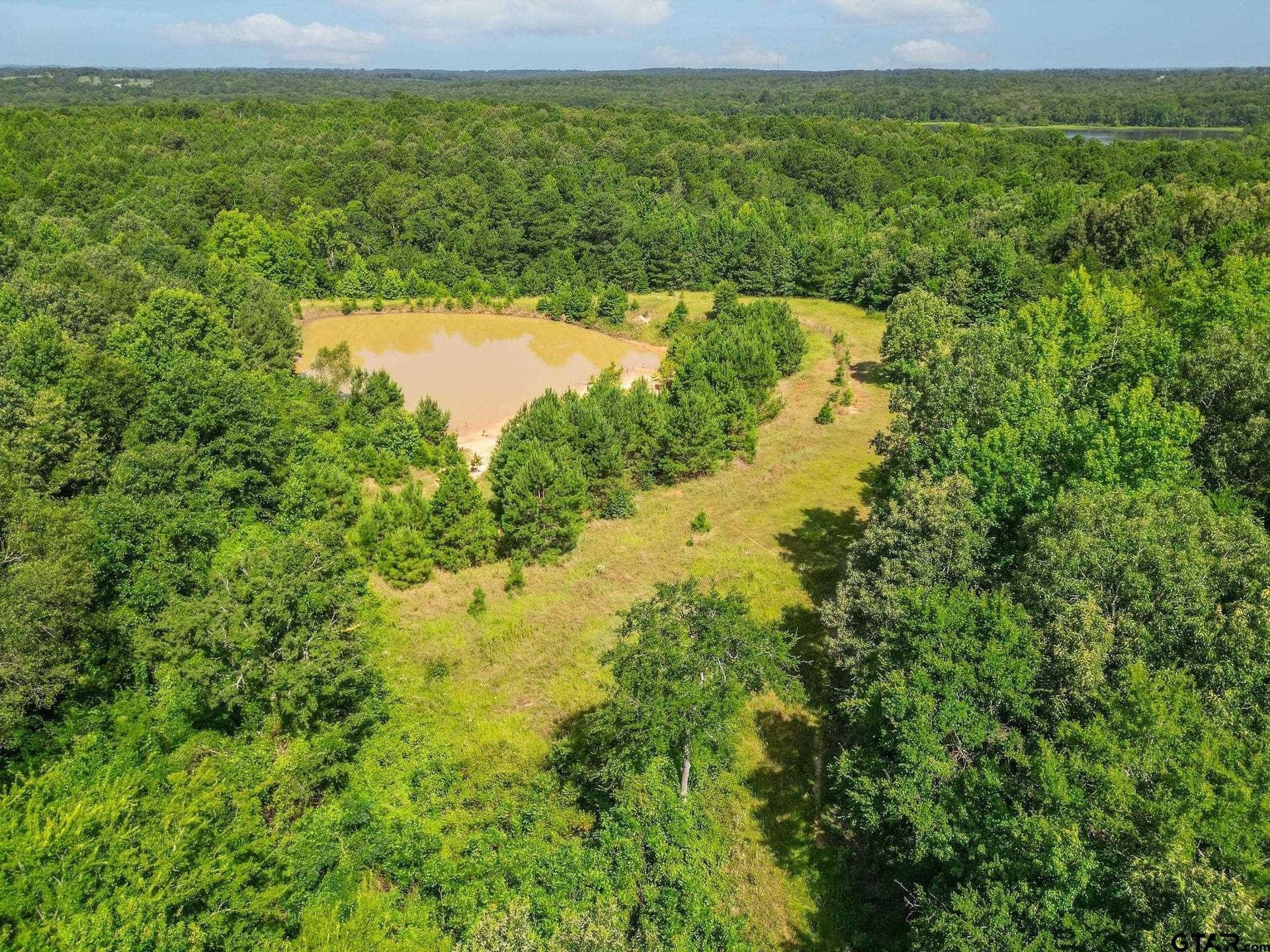 95.52 acres in Upshur County - photo 17