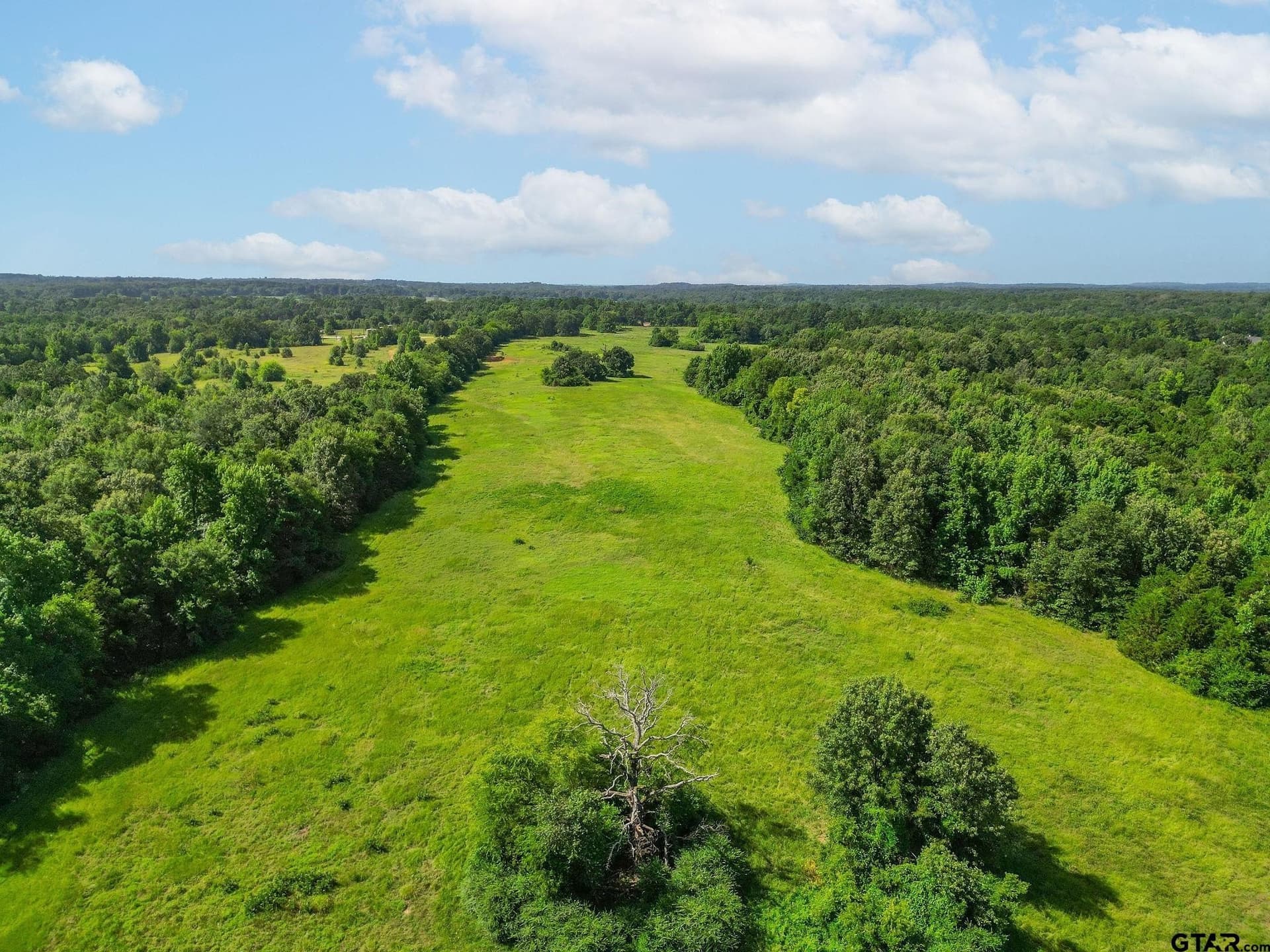 95.52 acres in Upshur County - photo 11