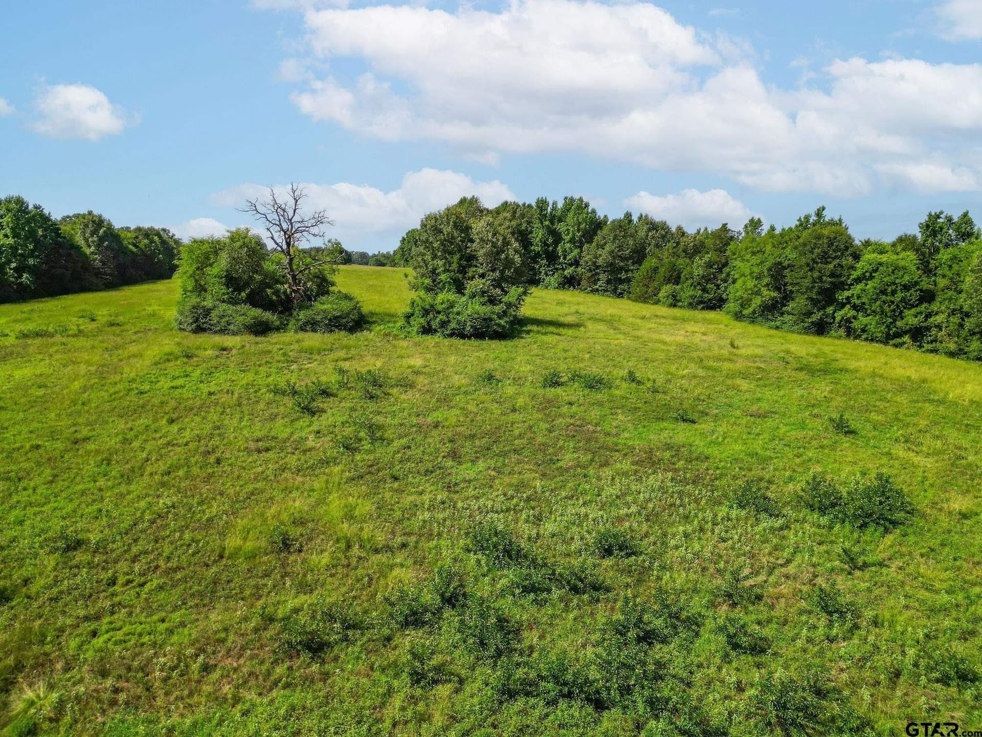 95.52 acres in Upshur County - photo 12