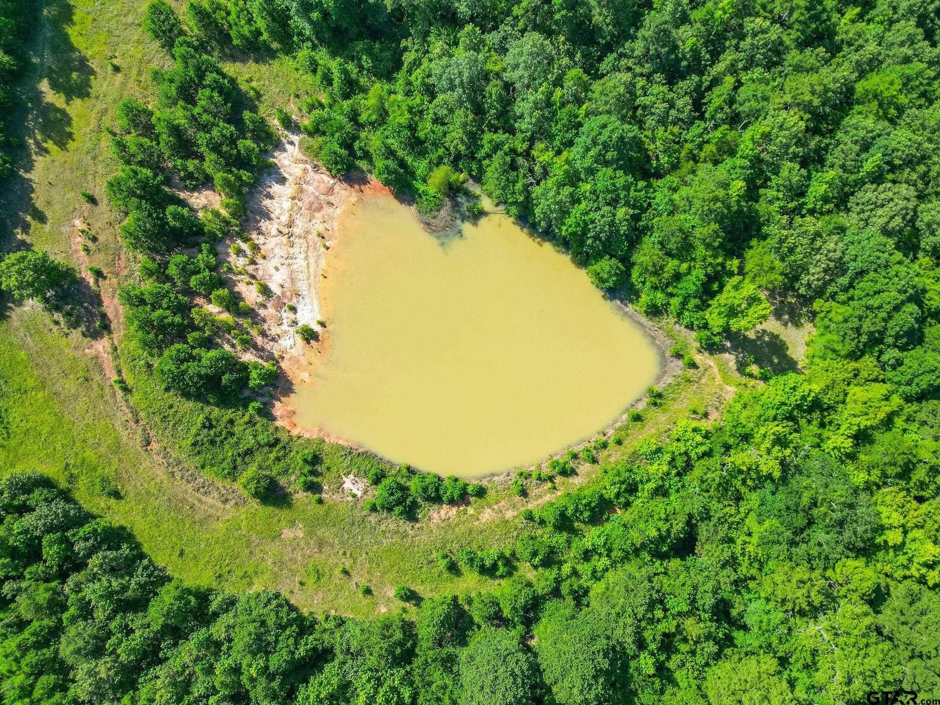 95.52 acres in Upshur County - photo 7