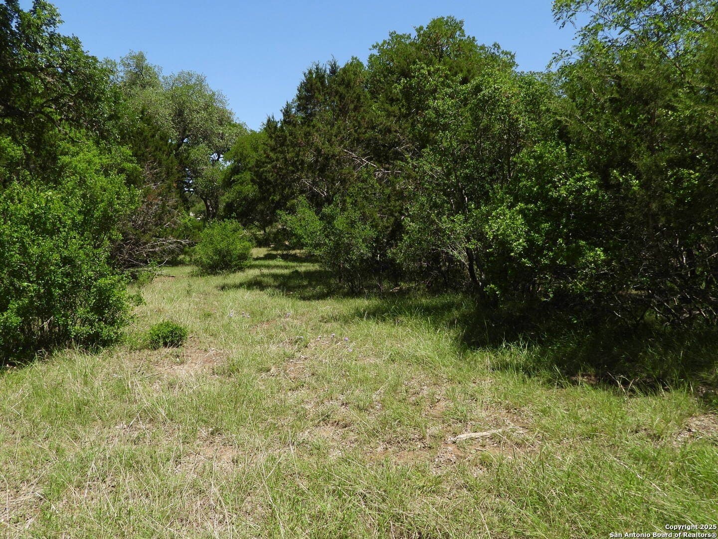 3.98 acres in Bandera County - photo 9