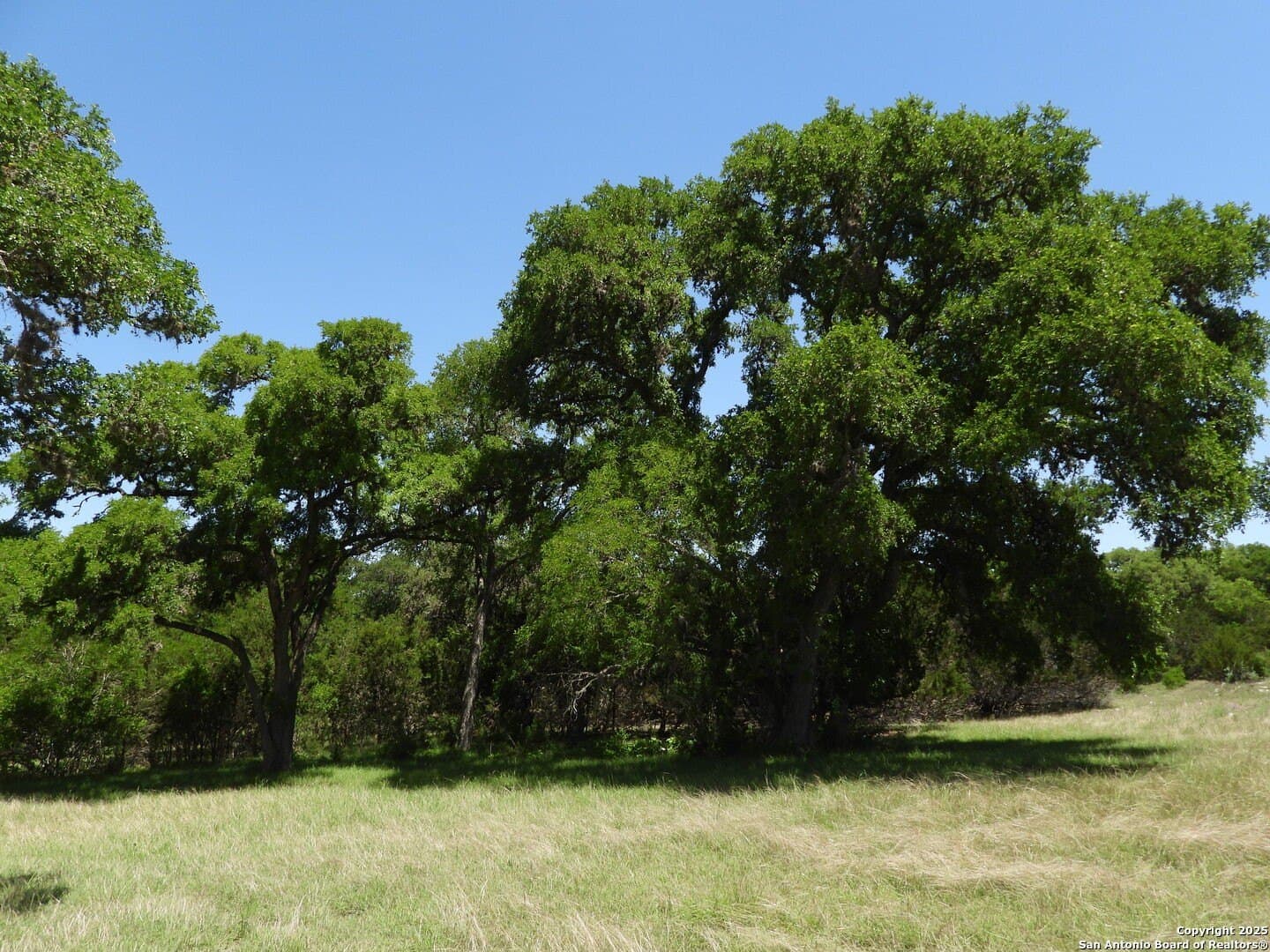 3.98 acres in Bandera County - photo 5