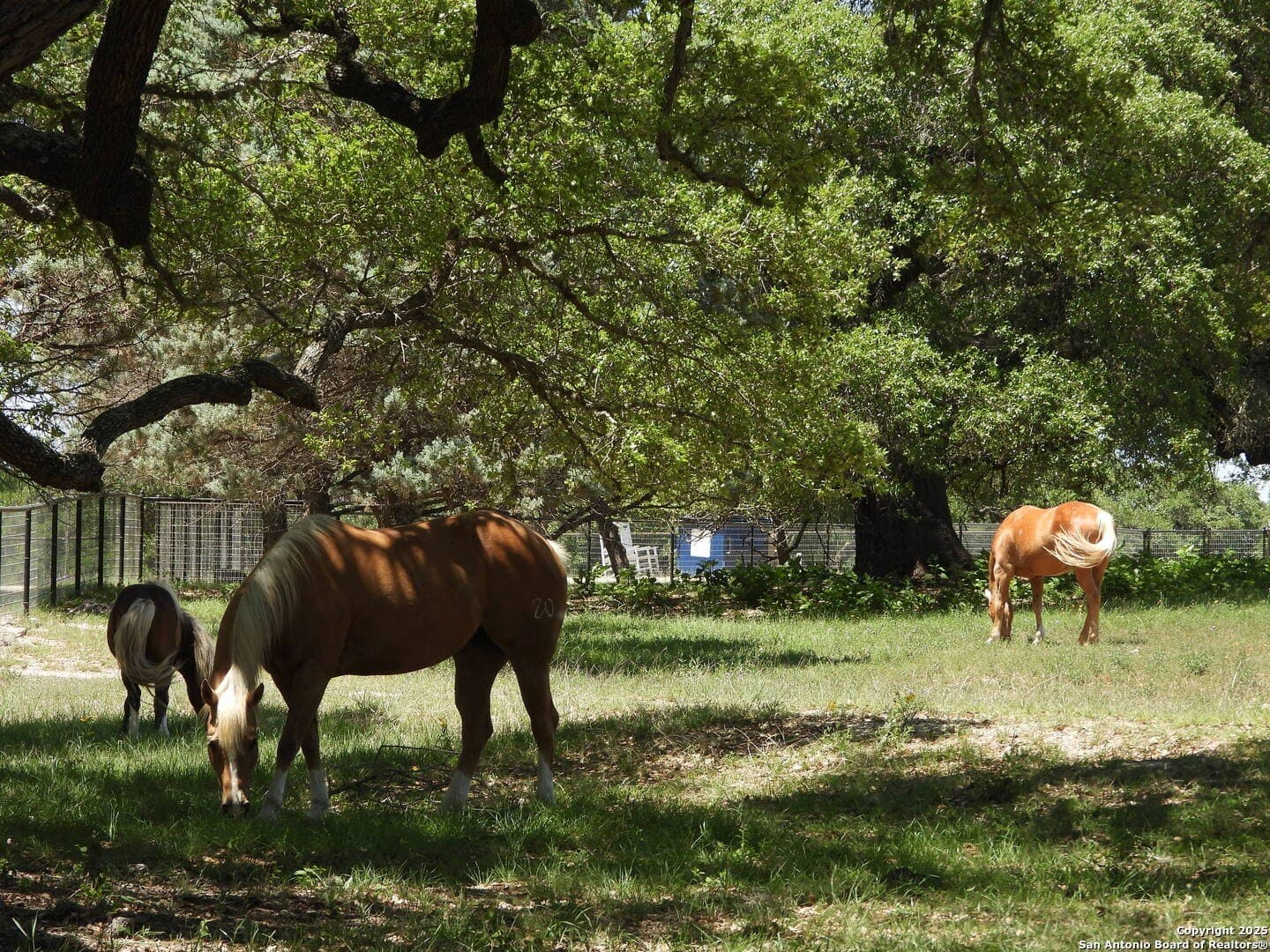 3.98 acres in Bandera County - photo 50