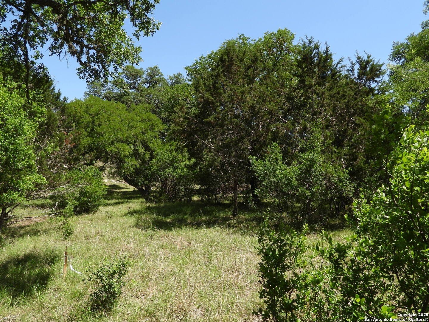 3.98 acres in Bandera County - photo 10